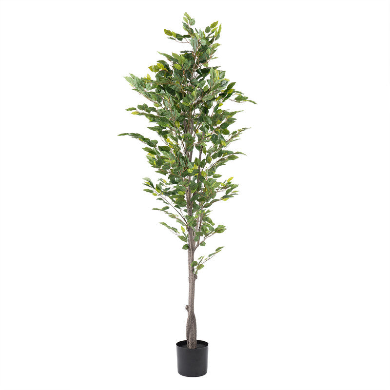 180Cm Real Touch Ficus Tree